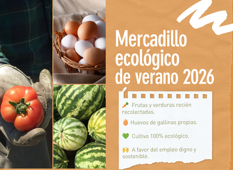 Vuelve "Cómete el huerto en verano"